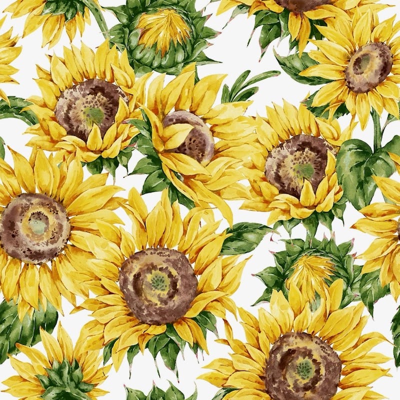 Resinado Girasoles 1,40x1,40
